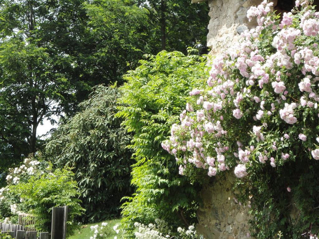 Вилла Un Gite De Charme En Haute Provence Сигуайе Номер фото