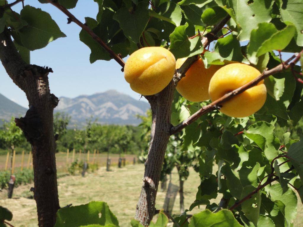 Вилла Un Gite De Charme En Haute Provence Сигуайе Номер фото