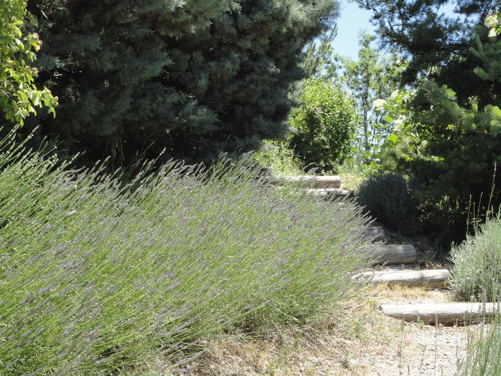 Вилла Un Gite De Charme En Haute Provence Сигуайе Номер фото