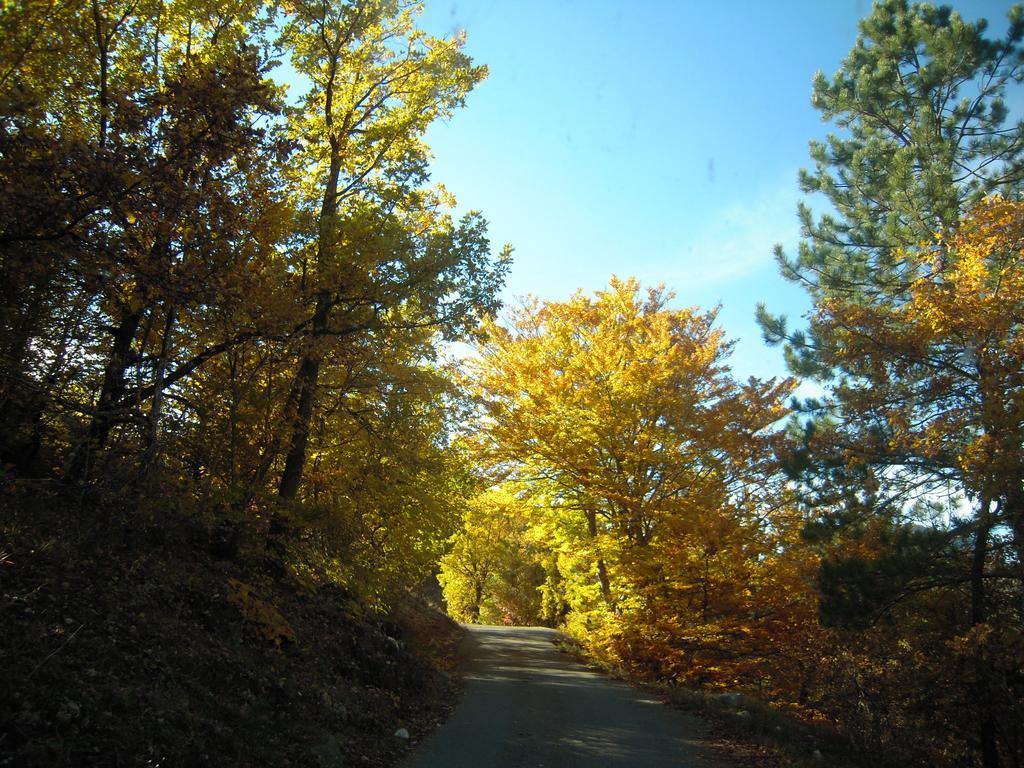 Вилла Un Gite De Charme En Haute Provence Сигуайе Номер фото